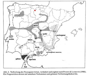 Localidad del ejemplar © Teresa Farino